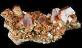 Deep Red Vanadinite Crystals on Matrix - Morocco #42196-1